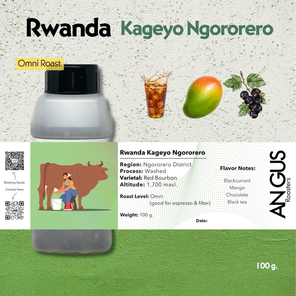 Angus Coffee Roasters เมล็ดกาแฟคั่วอ่อน Omni - Rwanda Kageyo Ngororero