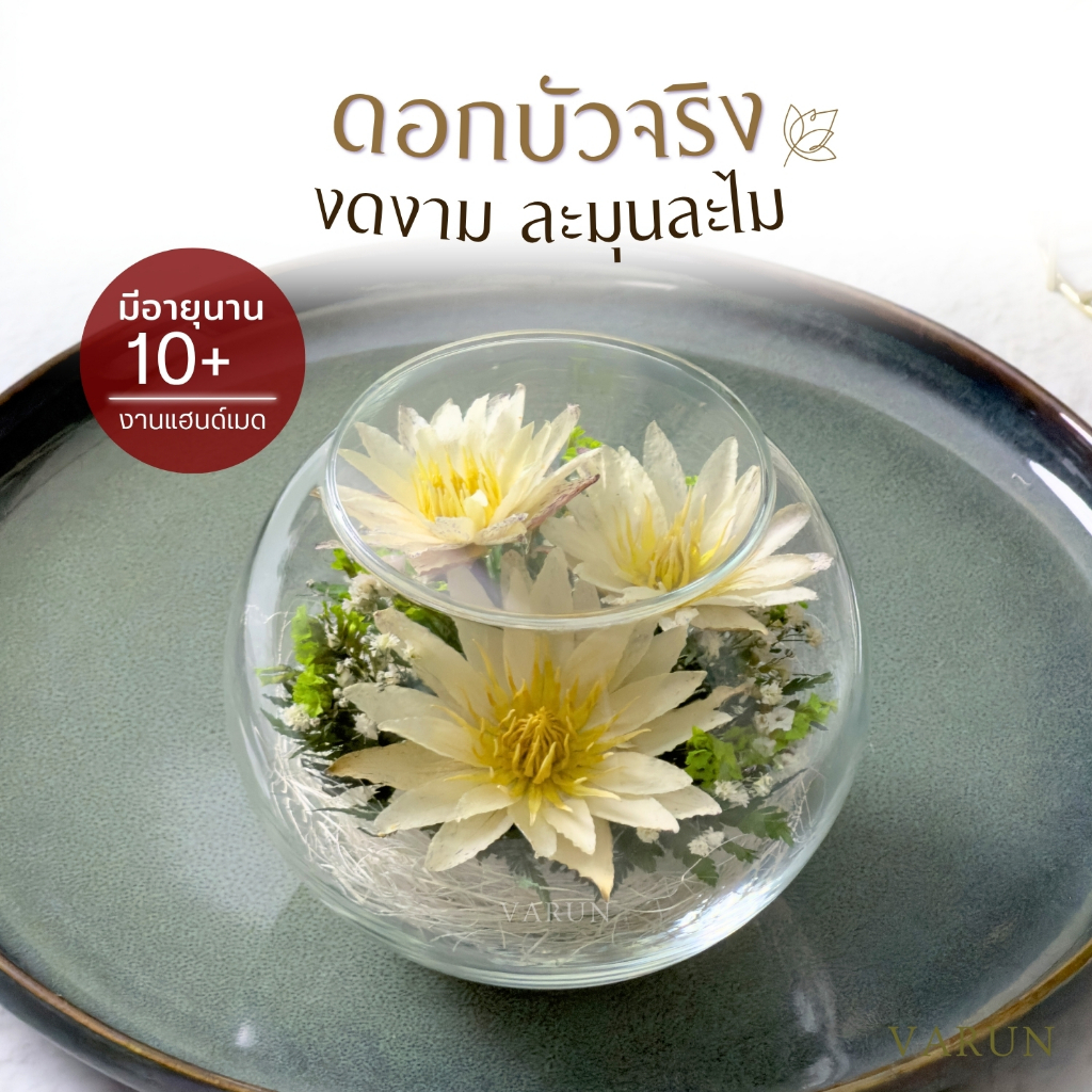 🪷 ดอกบัวจริง 100% ในโหลแก้ว | มีอายุนาน 10 ปี ขึ้นไป ⬆️ (ทรง: กลมมาตรฐาน)  | ดอกไม้ไหว้พระ ดอกไม้บูชาพระ