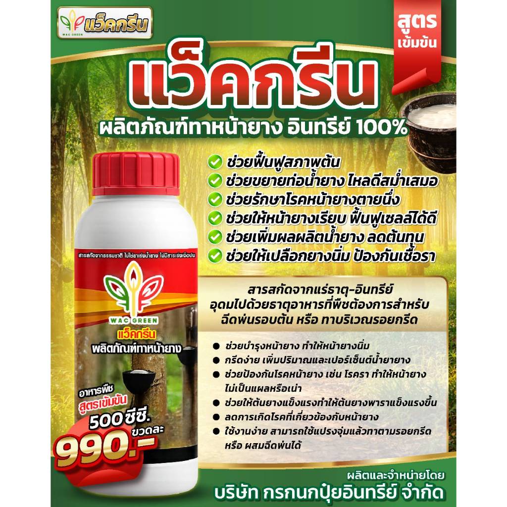 แว็คกรีน ชนิดน้ำทาหน้ายาง กันเชื้อรา