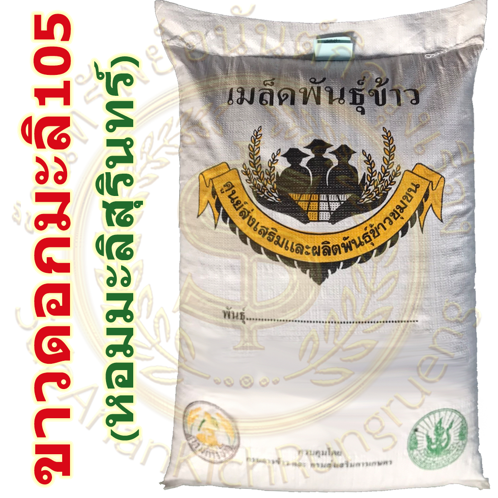 เมล็ดพันธุ์ข้าว ขาวดอกมะลิ105 บรรจุ 25 กก. ใช้สำหรับปลูกฤดูนาปี2569