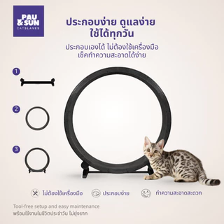 Pau & Sun ล้อวิ่งแมว 122 ซม. Premium Cat Wheel ลู่วิ่งแมว อุปกรณ์ออกกำลังกายแมว เงียบ มั่นคง สำหรับบ้านและคอนโด