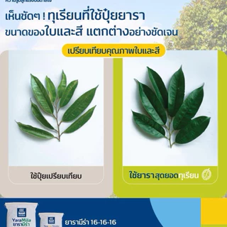 ปุ๋ย16-16-16 ยารามีร่า *แบ่งขาย 10โล* ปุ๋ยสูตรเสมอ ใช้ได้กับพืชทุกช่วงทุกชนิด