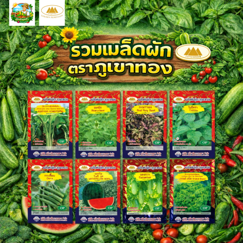 รวมเมล็ดผักซอง ตราภูเขาทอง OP(ชุดที่3) มีให้เลือกกว่า31ชนิด มะเขือ ต้นหอม ผักชี บวบ พริก ฟักทอง มะระ
