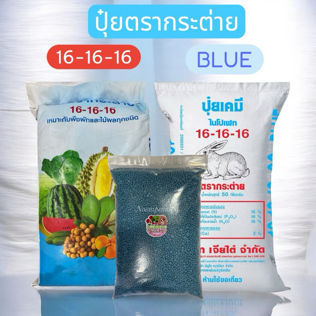 ((แบบแบ่งขาย)) ปุ๋ยเคมีตรากระต่าย ของแท้ 100% สูตร 16-16-16+3Ca BLUE สูตรเพิ่มธาตุอาหารรองแคลเซียม 3% ปุ๋ยคอมปาวด์