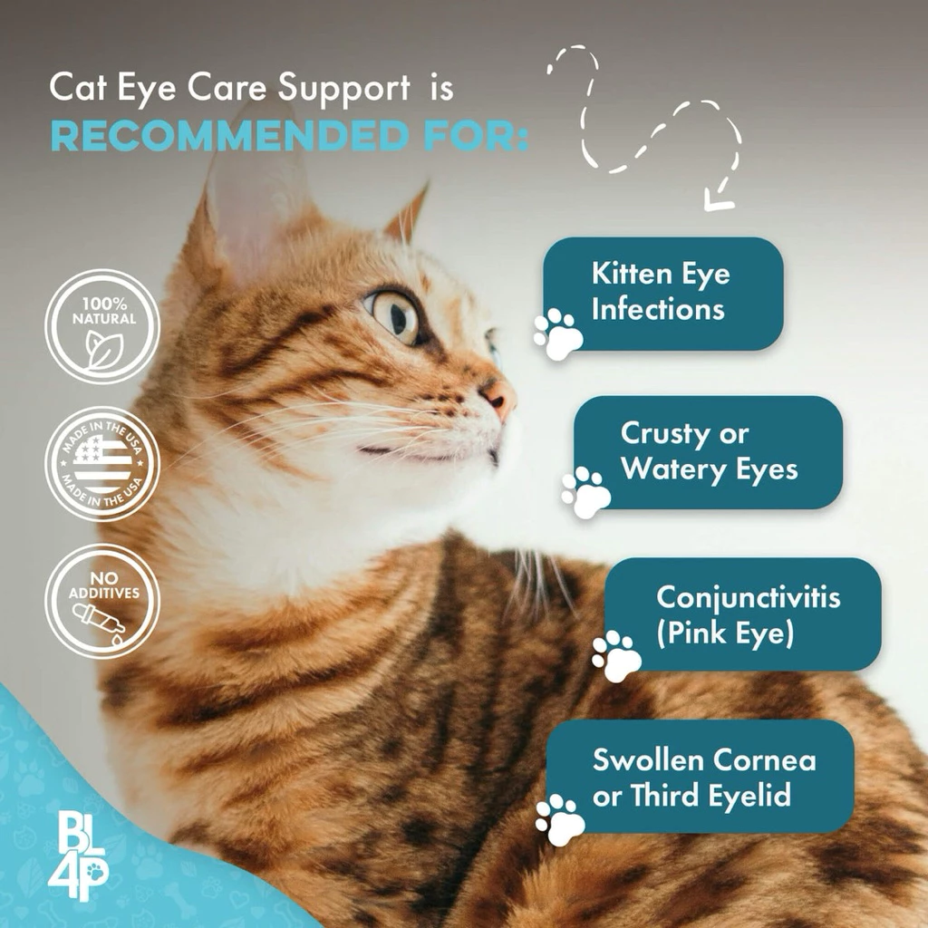 วิตามิน Eye Care & Vision Support อาหารเสริมหมา อาหารเสริมแมว บำรุงสายตา บำรุงดวงตา thumbnail 9