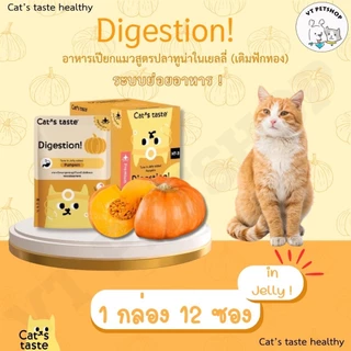 (12 ซอง) อาหารเปียกแมว Cat’s Taste Healthy 1กล่อง “เนื้อเยลลี่” เพื่อสุขภาพที่ดีของน้องๆ