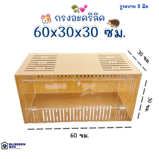 กรงอะคริลิค 60×30×30 ซม. รูระบาย 8 มม. สำหรับแฮมสเตอร์ สัตว์ฟันแทะ (1 กรงต่อ 1 คำสั่งซื้อ)