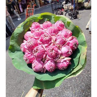 ช่อดอกบัวพับเล็ก 19 ดอกสีชมพู ส่งตรงจากปากคลองตลาด ส่งด่วน ก…