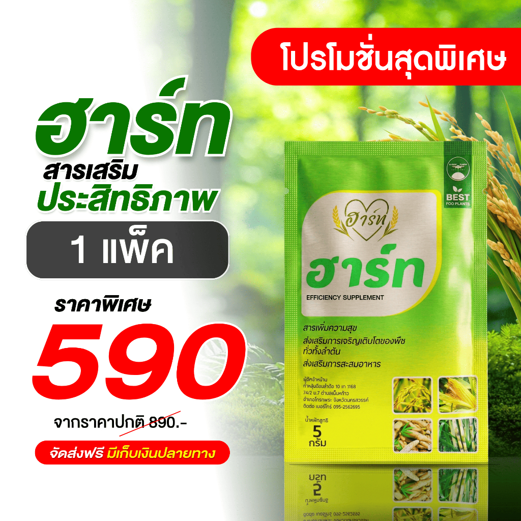 ฮาร์ท 1 ซอง l  สารเพิ่มประสิทธิภาพ สารบำรุงพืชลงหัว มันสำปะหลัง อ้อย ข้าวโพด นาข้าว สูตรเข้มข้น บำรุงต้นสมบูรณ์