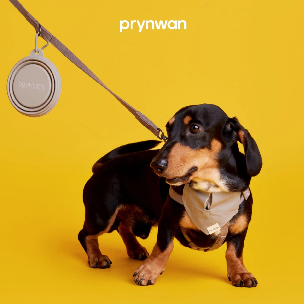 PRYNWAN Pets - Dog Leash Tone On Tone สายจูง สัตว์เลี้ยง