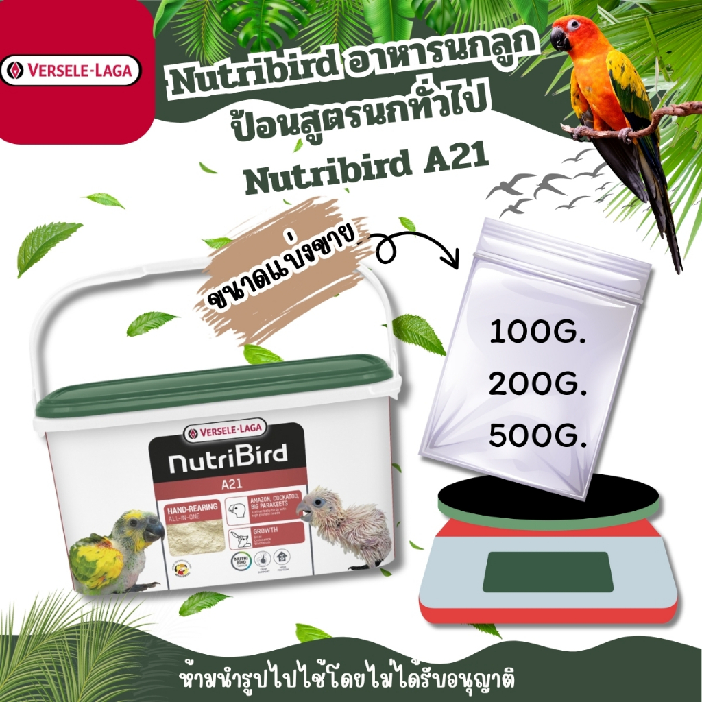 Nutribird A21 นูทรีเบิร์ด เอ 21 (ขนาดแบ่งขาย) อาหารนกลูกป้อนสูตรนกทั่วไป Nutribird A21 [100G./500G.]