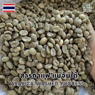 [พร้อมส่ง] สารกาแฟอราบิก้า แม่จันใต้ เชียงราย , Maejantai Chang Rai . Washed Process บรรจุ 500g -1 kg. P&T KoffRoad