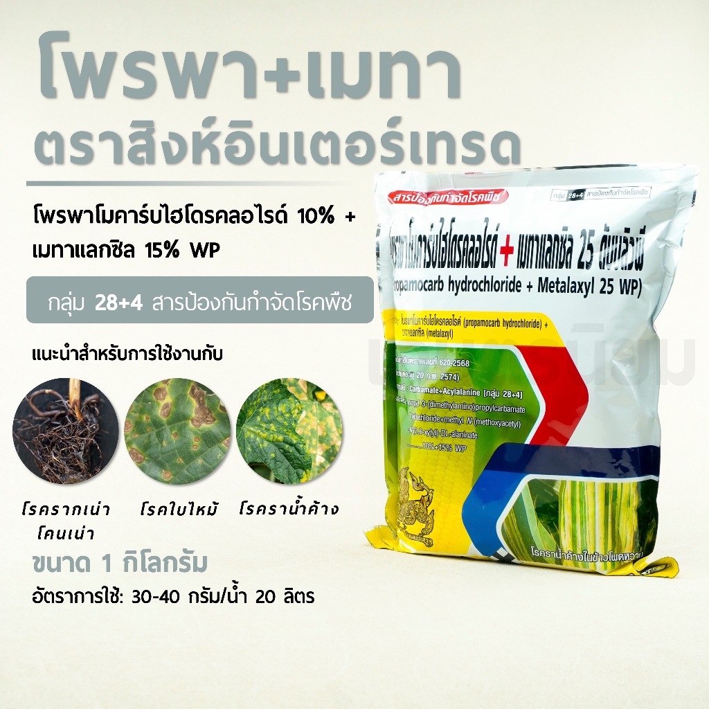 โพรพา+เมทา ตราสิงห์อินเตอร์เทรด (โพรพาโมคาร์บไฮโดรคลอไรด์ 10% + เมทาแลกซิล 15% WP) 1 กิโลกรัม