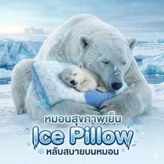MIDORI Home ICE PILLOW หมอนสุขภาพเย็น 40x70 ซม (เย็นทั้ง 2 ด้าน)