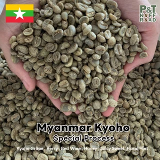 เมล็ดกาแฟดิบ Myanmar Kyoho : Green Bean Myanmar . Special Process บรรจุ 500g. - 1 kg. P&T KoffRoad