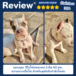โซ่ปลอกคอสุนัข สแตนเลส 304 โดนน้ำได้ไม่ขึ้นสนิม💦ไม่มีขาด‼️ขนาด 2-4 มิล สำหรับสุนัขพันธ์เล็ก/ลูกสุนัข โซ่หมา