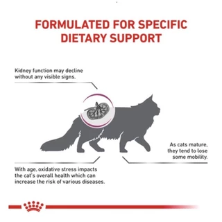 Royal Canin RENAL Cat อาหารแมวโรคไต สูตรควบคุมฟอสฟอรัส บำรุงไต สำหรับแมวโต