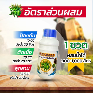 ชุด 3 พลัง รวมชุดใหญ่ขายดี ผงดำเทพสถิตย์ 5 กรัม + ยาคาร่าวัคซีนพืช 3 in 1 500 มล. + คิวบั๊ก 500 มล.