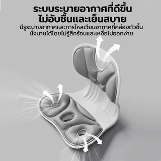Millera เบาะรองนั่งเพื่อสุขภาพ พร้อมส่ง เบาะพิงหลัง ปรับสรีระ ลดปวดหลัง แก้ออฟฟิศซินโดรม ใช้กับเก้าอี้และในรถ