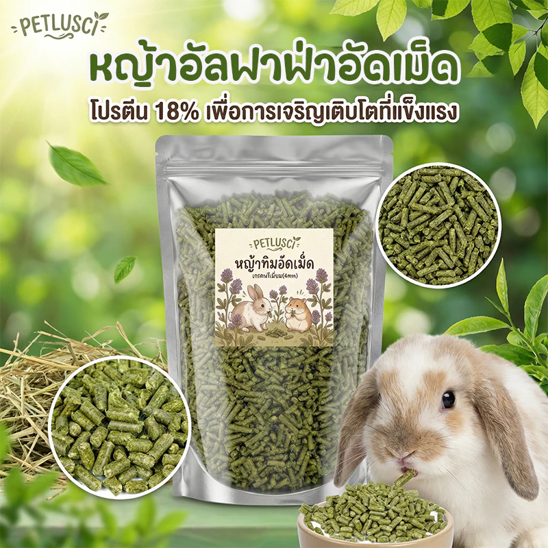 PETLUSCI® หญ้าอัลฟาฟ่าอัดเม็ด 500ก กัดฟันและทําความสะอาดฟัน ดูแลระบบย่อยอาหาร ลดกลิ่นไม่พึงประสงค์