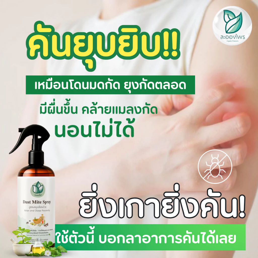 ละอองไพร (ของแท้100%) สเปรย์กำจัดไรฝุ่น สูตรสมุนไพร thumbnail 4