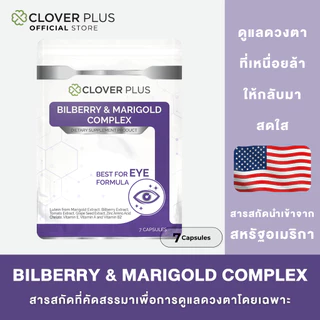 Clover Plus Bilberry and Marigold Complex สารสกัดจากบิลเบอร์รี และ ดอกดาวเรือง า (7 Capsules) (EXP 10/10/2569)