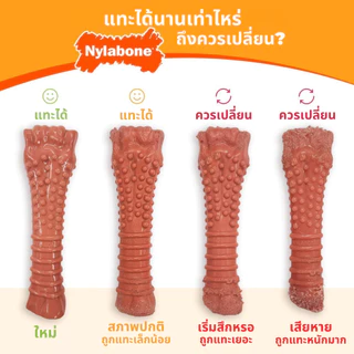 🇺🇸Made in USA🇺🇸 Nylabone Puppy Chew Teething Bone ของเล่นกระดูกแทะขัดฟันลูกสุนัข ลดอาการคันเหงือก รสไก่
