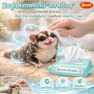 ทิชชู่เปียกสำหรับสัตว์เลี้ยง ไม่มีแอลกอฮอล์ ปลอดภัยต่อผิว