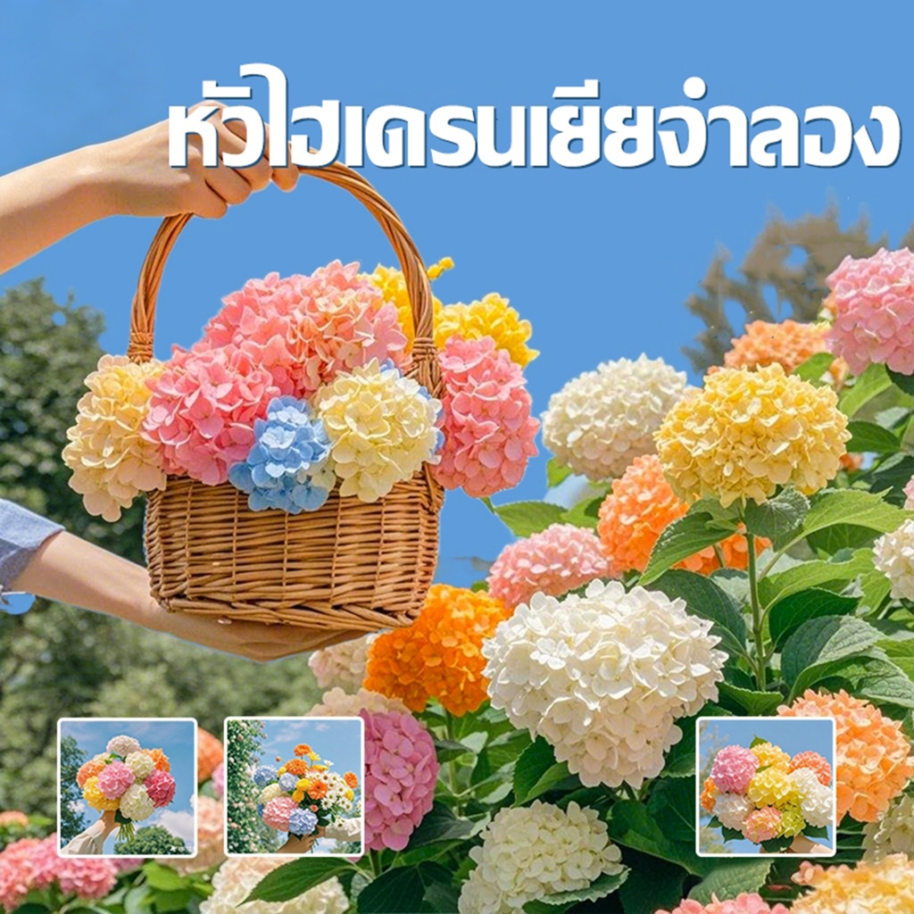 【ซื้อ1 แถม1】ดอกไฮเดรนเยียประดิษฐ์ คุณภาพสูง สําหรับตกแต่งบ้าน สําหรับตกแต่งงานแต่งงาน ปาร์ตี้（ซื้อดอกไม้ แถมไม้คาด）