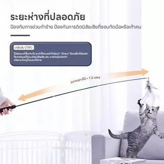 FurryCuddle ไม้ล่อแมว ไม้ตกแมว เปลี่ยนหัวได้ ปรับความได้ 3 ระดับ ก้านยืดหยุ่นงอได้ ยาว180cm PU280