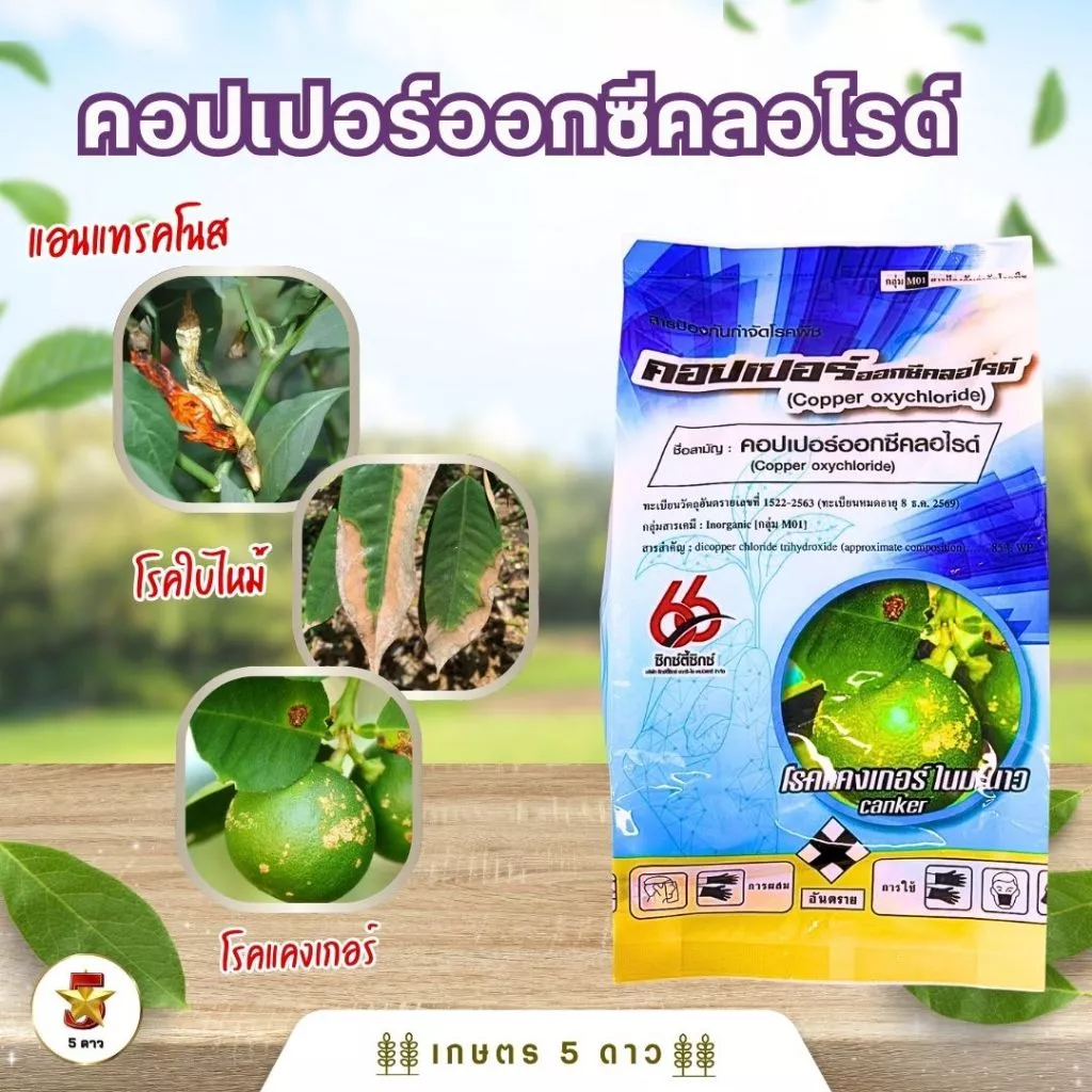 คอปเปอร์ออกซีคลอไรด์ 85% WP [กลุ่ม MO1] 1 กก.ป้องกันกำจัดโรคพืชจากเชื้อราแบคทีเรียโรคแคงเกอร์ใบจุด