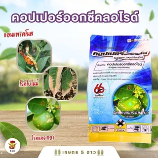 คอปเปอร์ออกซีคลอไรด์ 85% WP [กลุ่ม MO1] 1 กก.ป้องกันกำจัดโรคพืชจากเชื้อราแบคทีเรียโรคแคงเกอร์ใบจุด