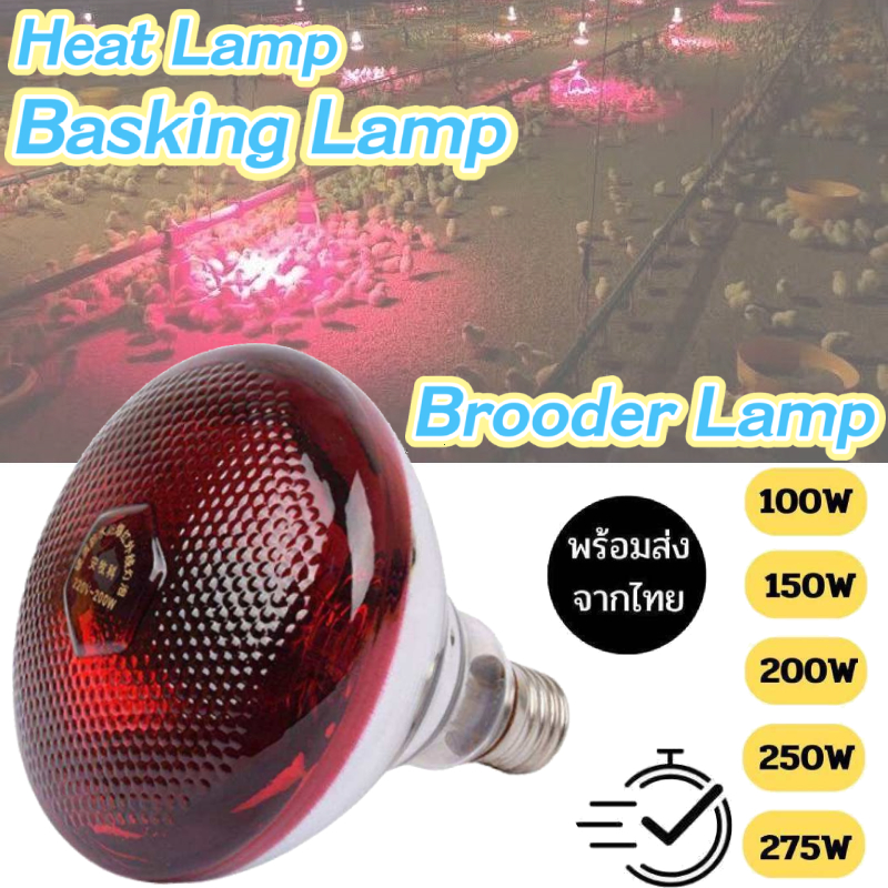 ไฟกกสัตว์ ลอดไฟอินฟาเรด ประหยัดไฟ 100W-275W ร้อนเร็ว กันน้ำ ไฟกกหมู/ไก่ไข่ ลดความชื้น ทนความร้อนสูง ใช้งานคุ้มค่า Broode