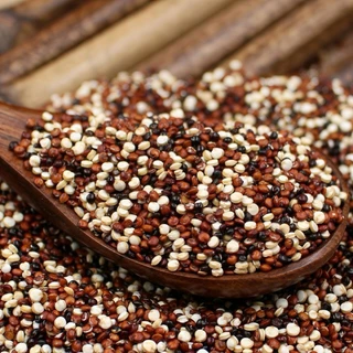 ควินัวสามสี 1kg ข้าวควินัว ออร์แกนิค โปรตีนสูง Gluten Free คีโต คลีน ฟิตเนส ส่งไว