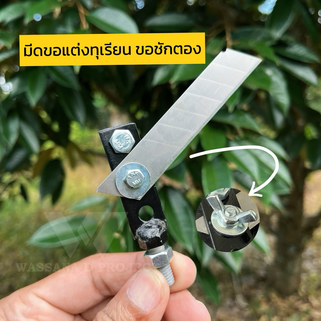 ขอชักตอง ตะขอแต่งทุเรียน แต่งลูกทุเรียน มีดขอแต่งแขนงทุเรียน รุ่นเปลี่ยนใบมีดได้
