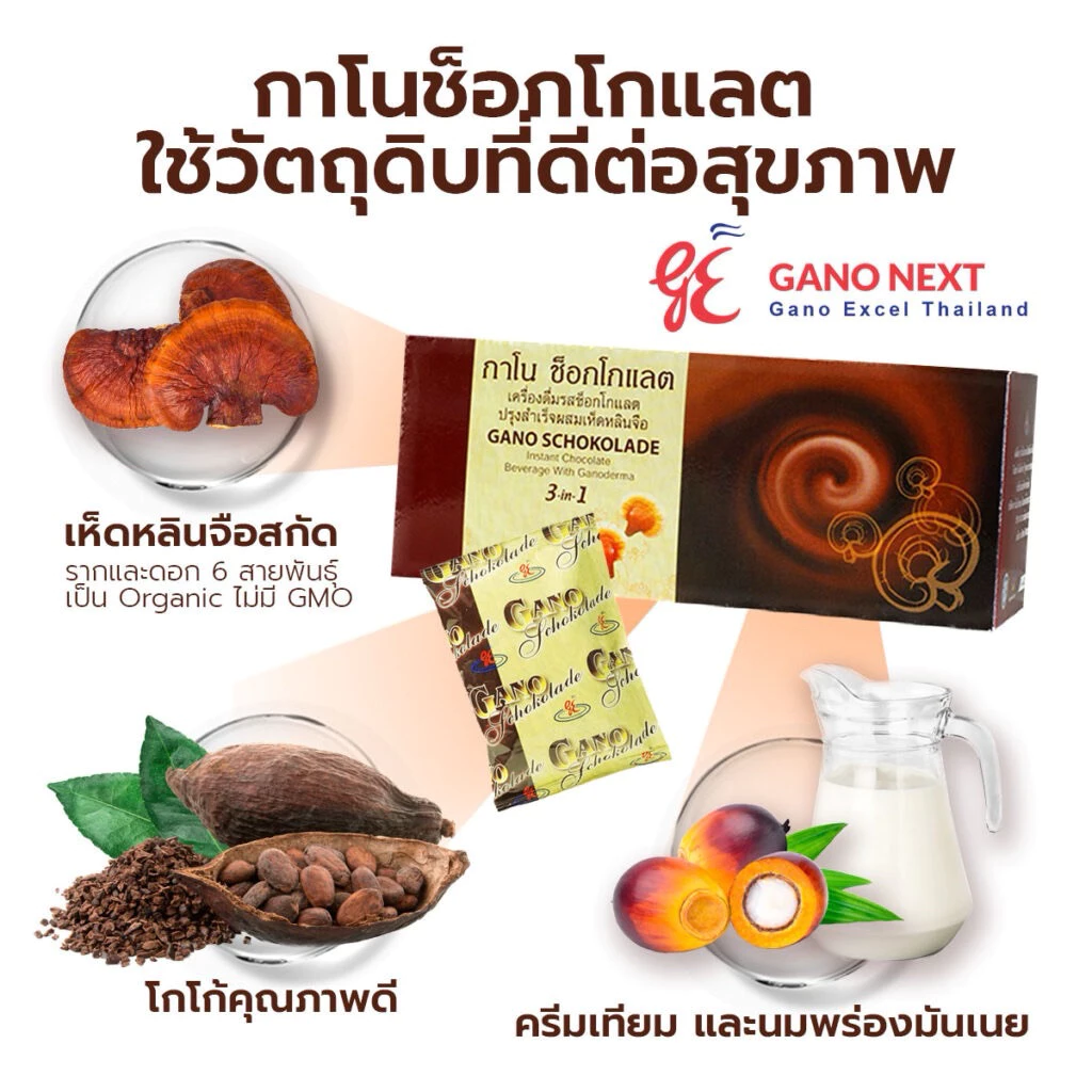 กาโนช็อกโกแลต/ช็อกโกแลตกาโน Gano excel