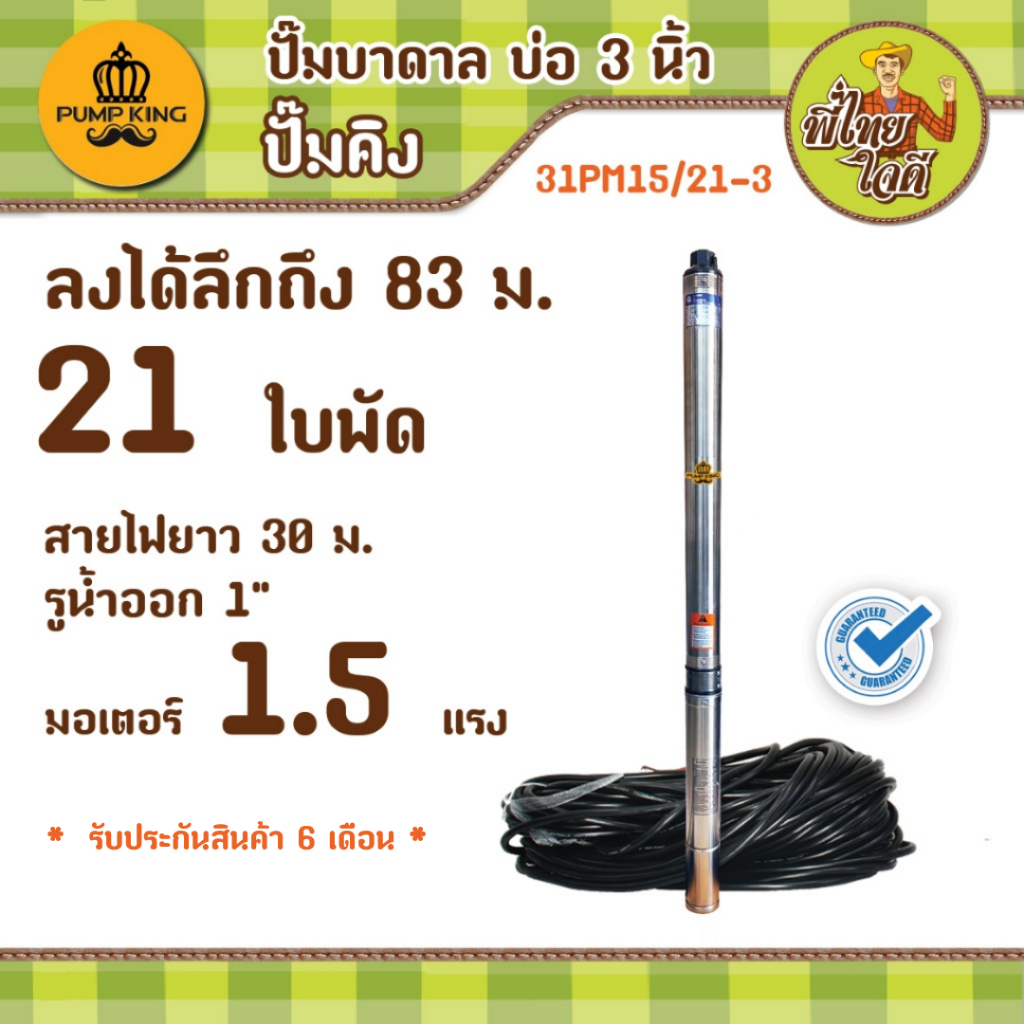ปั๊มบาดาล บ่อ 3 นิ้ว รุ่น 31PM15/21-3