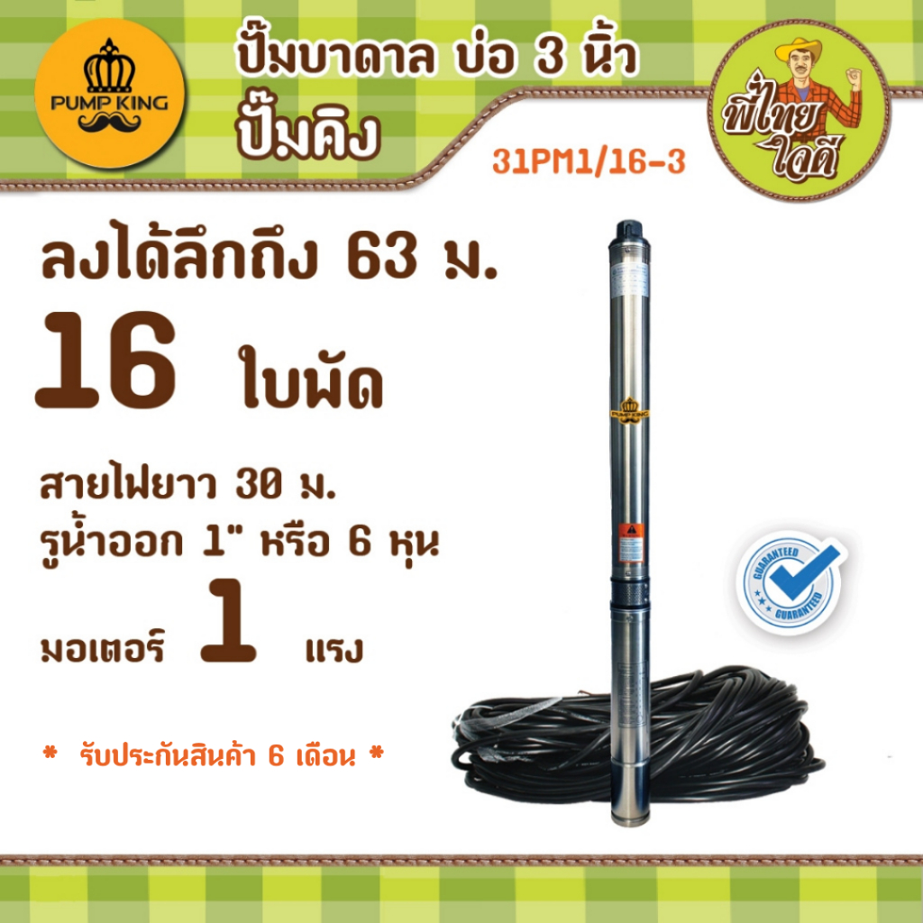 ปั๊มบาดาล บ่อ 3 นิ้ว รุ่น 31PM1/16-3