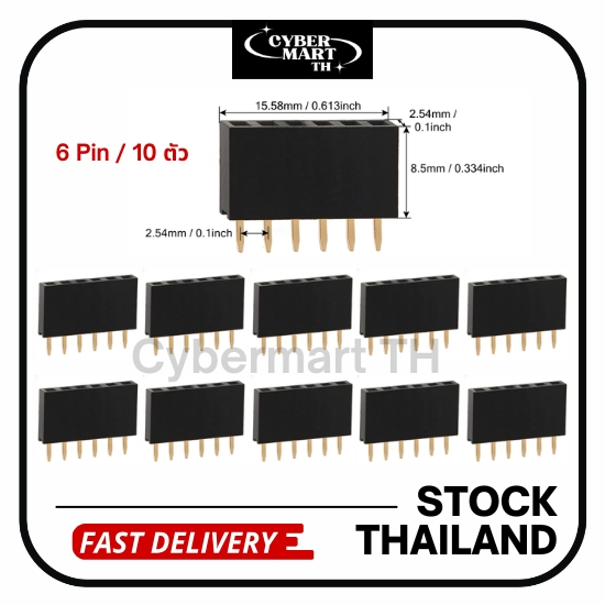 Pin Header 2.54mm Female (6 Pin) (10 ตัว) พร้อมส่ง
