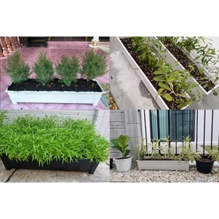 กระถางรางยาวขนาด 17x74x15 cm.หรือ 29 นิ้ว (ราคาปลีก+ส่ง)