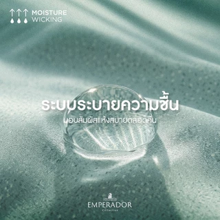 Dunlopillo ชุดผ้าปู + ผ้านวม เทคโนโลยีผ้าถนอมผิว ทอ 990 เส้น รุ่น Emperador ส่งฟรี