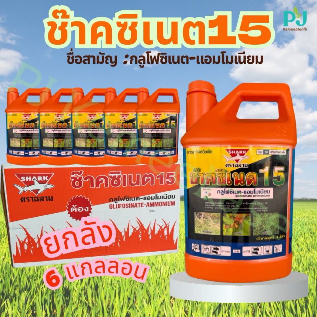 ช๊าคซิเนต 4 ลิตร (ขนาดบรรจุ 6 แกลลอน/ลัง) #ยากำจัดหญ้า #กลูโฟซิเนต แอมโมเนียม น้ำสีฟ้าเกรดA