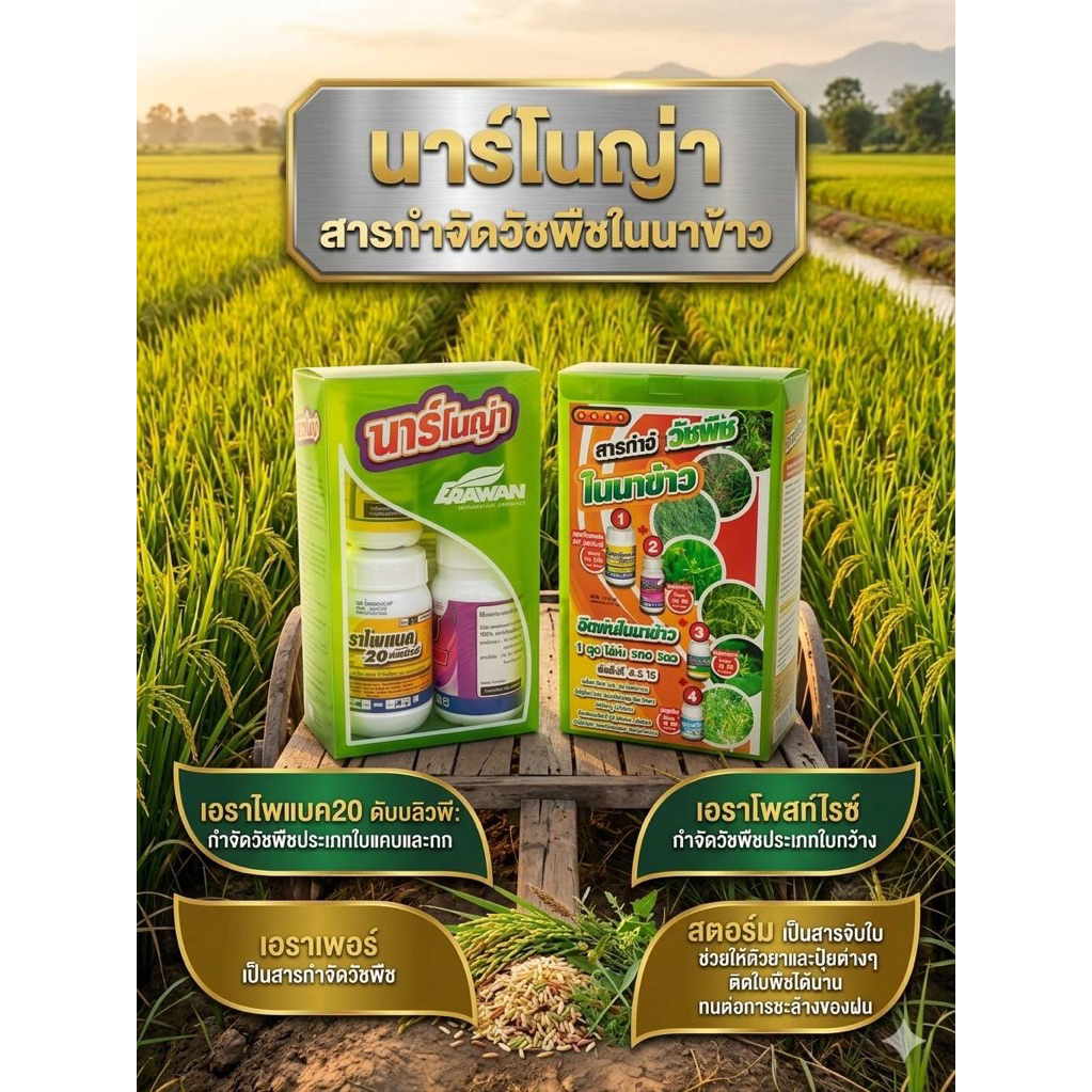 ยาฆ่าหญ้าในนา นาร์โนญ่า กำจัดหญ้าในนา 1 ชุด