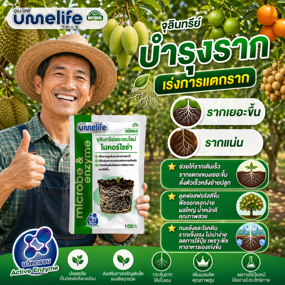 อูเมะไลฟ์ ไมคอร์ไรซ่า 100 กรัม จุลินทรีย์บำรุงราก เร่งการแตกราก รากเยอะขึ้น รากแน่น เชื้อราบำรุงราก