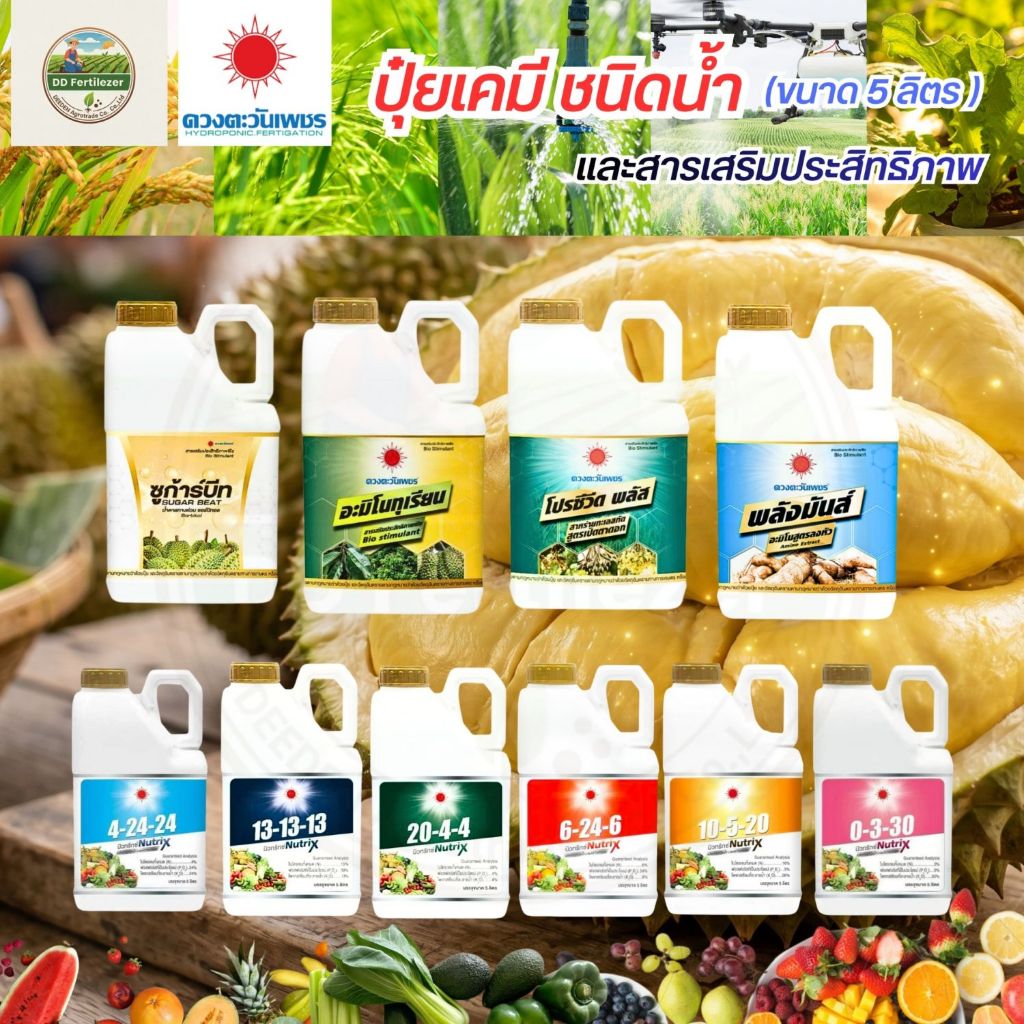 ปุ๋ยน้ำ (แกลอน 5 ลิตร) ดวงตะวันเพชร ฉีดพ่นทางใบ ธาตุหลัก ธาตุรอง ธาตุเสริม ขยายผล ช่วยเพิ่มความหวาน