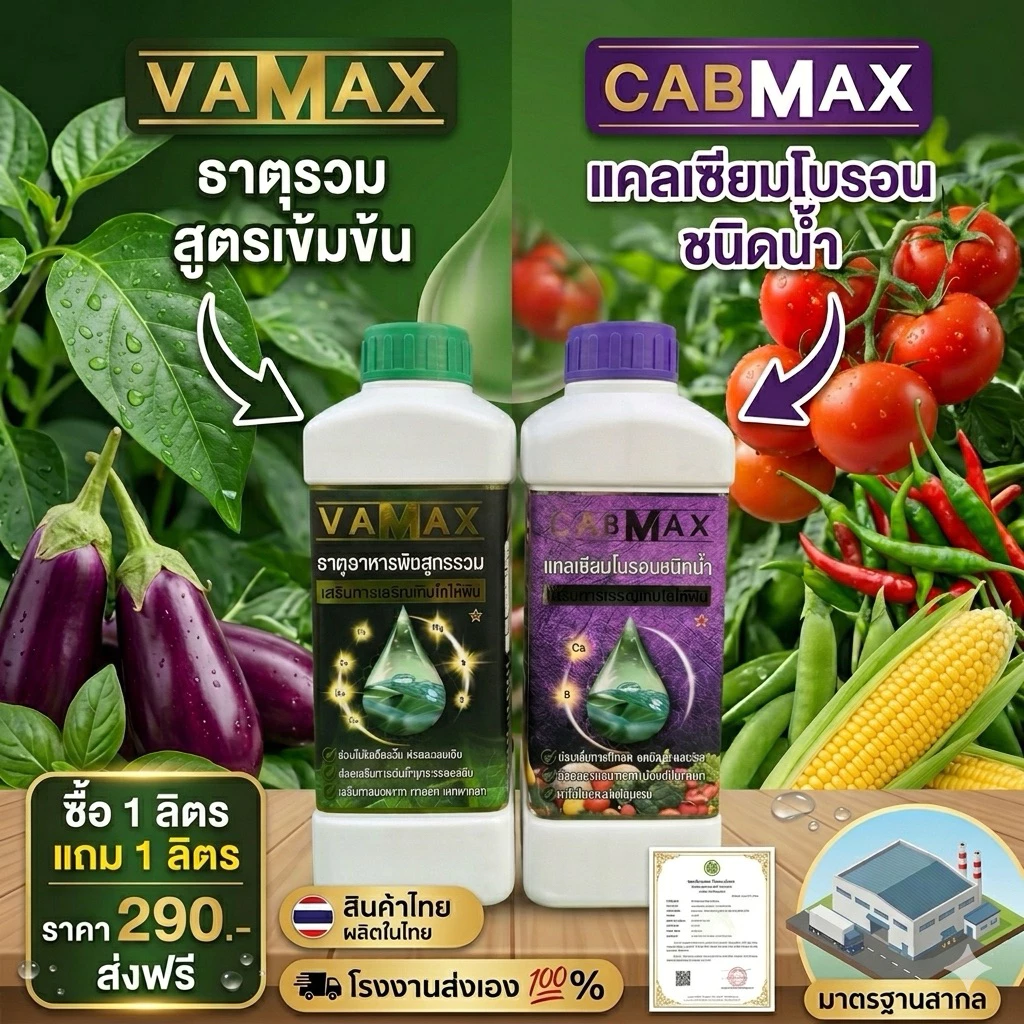 (C1+V1)1ลิตรแถมฟรี1ลิตรCABMAXแคลเซี่ยมโบรอน+VAMAXธาตุอาหารรวม7ชนิด