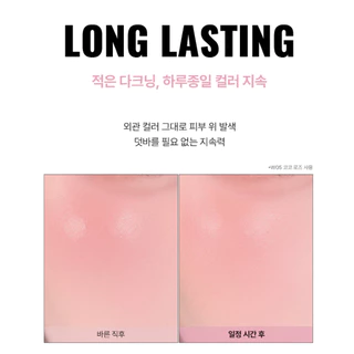 [About Tone] SKIN LAYER FIT BLUSHER