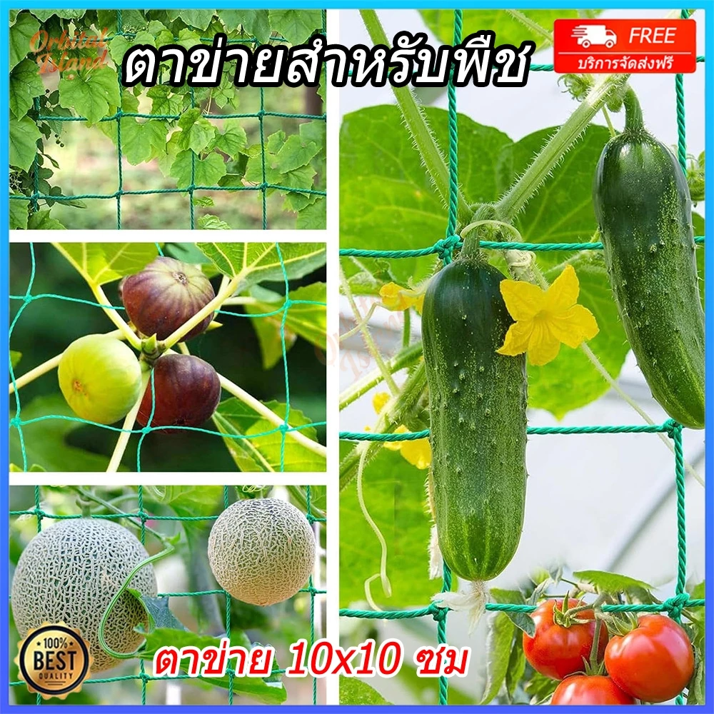 ตาข่ายสำหรับพืชไม้เลื้อย ปลูกผัก ตาข่ายไม้เลือย ค้างไม้เลื้อย ทนทาน