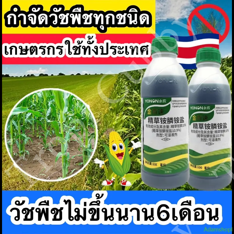 ควบคุมวัชพืชใบแคบ วัชพืชใบกว้าง และวัชพืชชนิดอื่นๆ ได้อย่างมีประสิทธิภาพ รวมทั้งรากและใบ สารกำจัดวัชพืชสูตรใหม่ 100 มล.