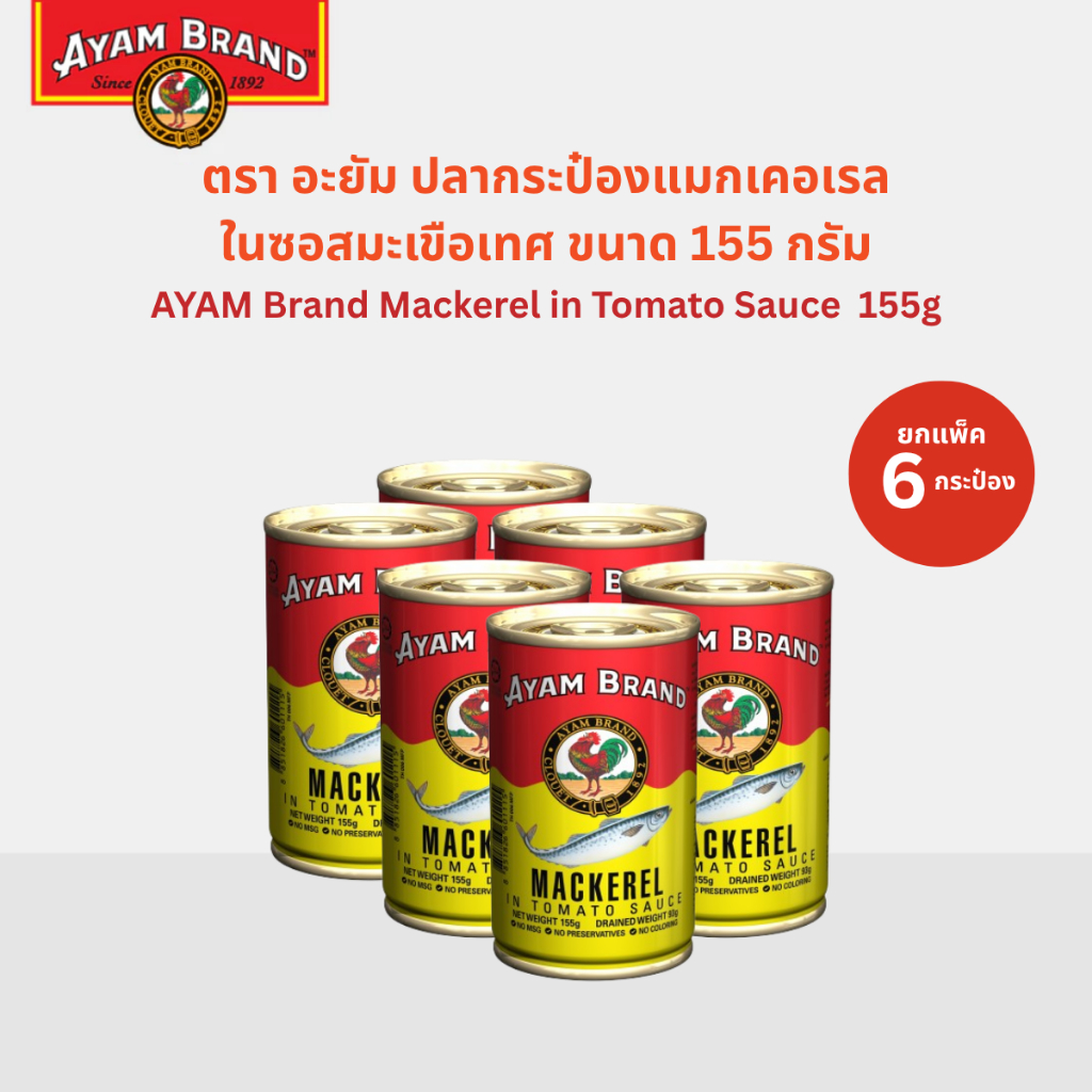 อะยัม ปลากระป๋องแมกเคอเรลในซอสมะเขือเทศ 155 กรัม x 6 กระป๋อง